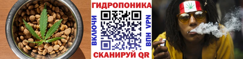 купить наркоту  Чернушка  Cannafood конопля 