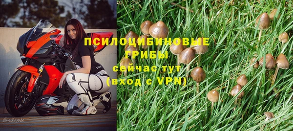а пвп мука Магас