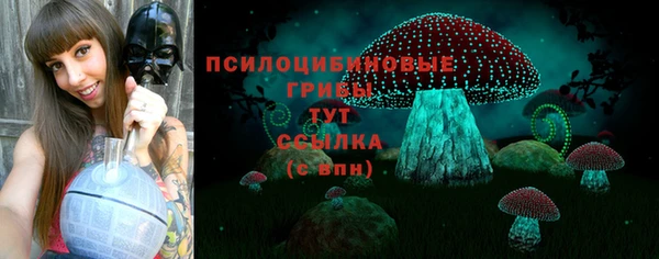 тгк Майский