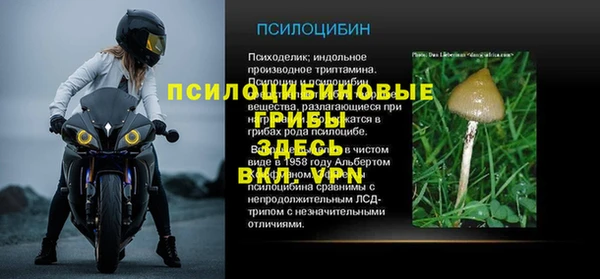 а пвп мука Магас