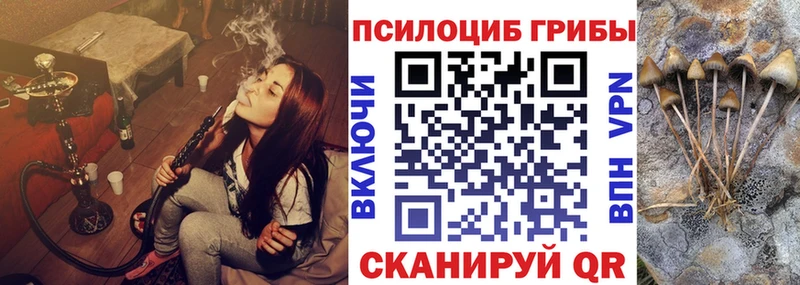 Галлюциногенные грибы MAGIC MUSHROOMS  как найти закладки  Чернушка 