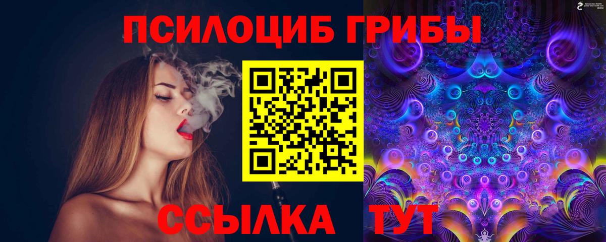 Чернушка  Псилоцибиновые грибы MAGIC MUSHROOMS  Вход с VPN 
