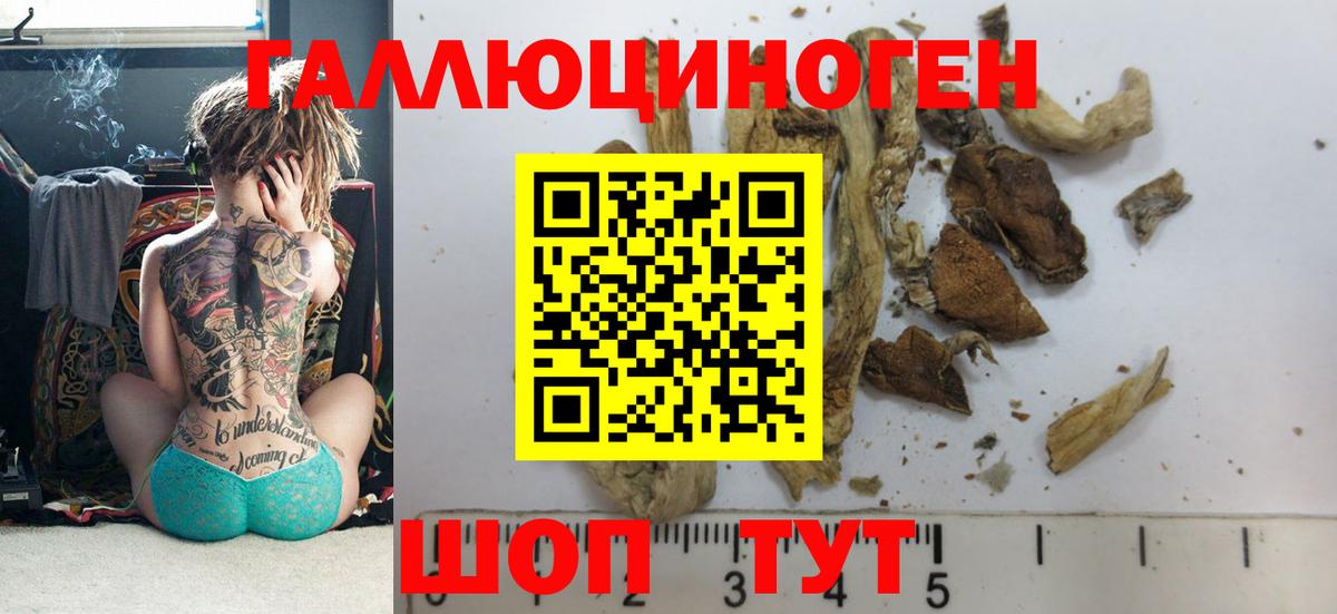 Псилоцибиновые грибы прущие грибы Чернушка