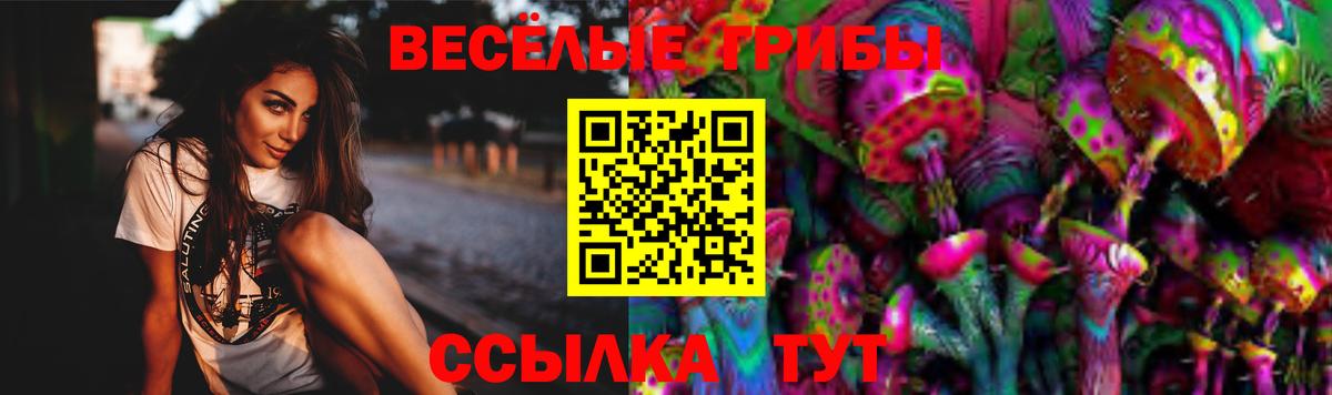 Галлюциногенные грибы мухоморы  Чернушка  Псилоцибиновые грибы мухоморы 